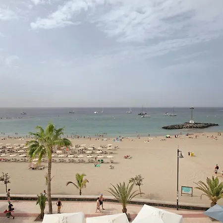 Ceyla Arona (Tenerife)